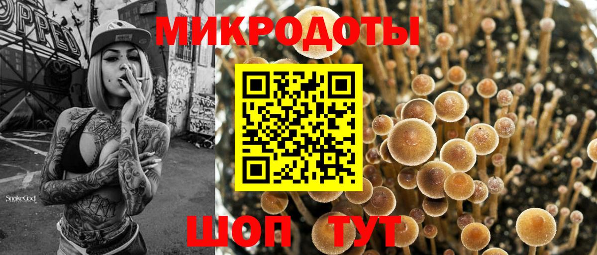 Дюртюли  Галлюциногенные грибы Psilocybine cubensis  Вход с VPN 
