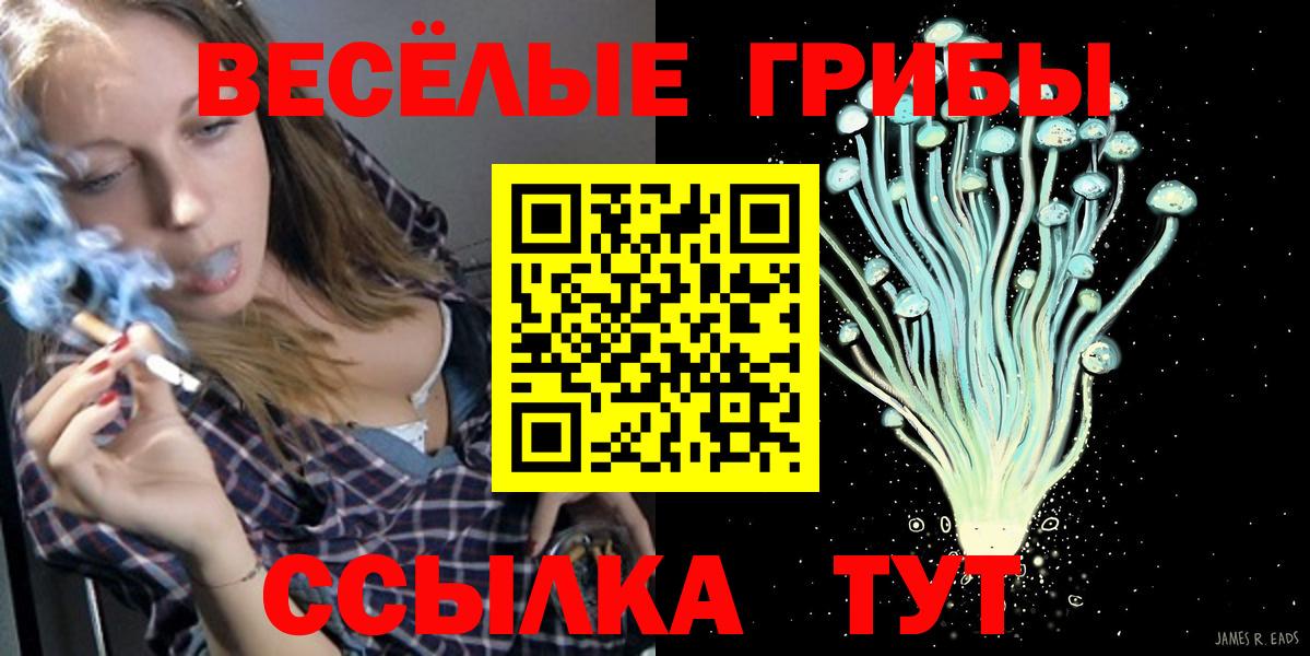 Псилоцибиновые грибы GOLDEN TEACHER Дюртюли